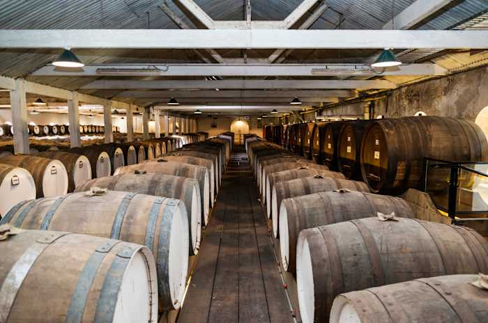 135765 - GALLERY_0.jpg